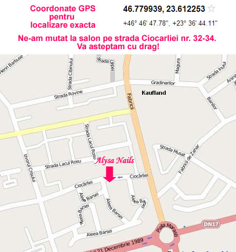 localizare unghii tehnice cluj pe harta